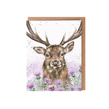  Stag & Thistle | Blank Card & Wild Flower Seeds | 10.5x15cm | Wrendale Designs