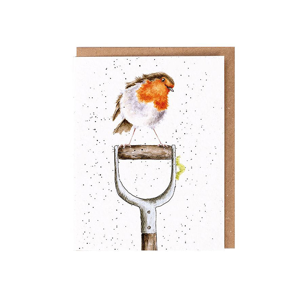  Gardeners Robin | Blank Card & Wild Flower Seeds | 10.5x15cm | Wrendale Designs
