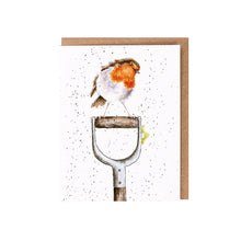  Gardeners Robin | Blank Card & Wild Flower Seeds | 10.5x15cm | Wrendale Designs